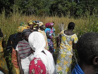 Visite de terrain Gambie