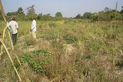 Site Mali