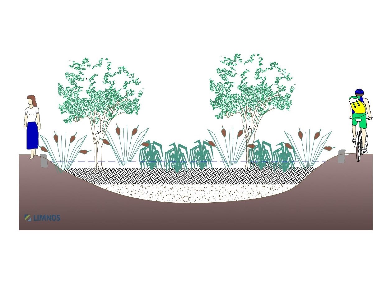 Green infrastructure design, rain garden