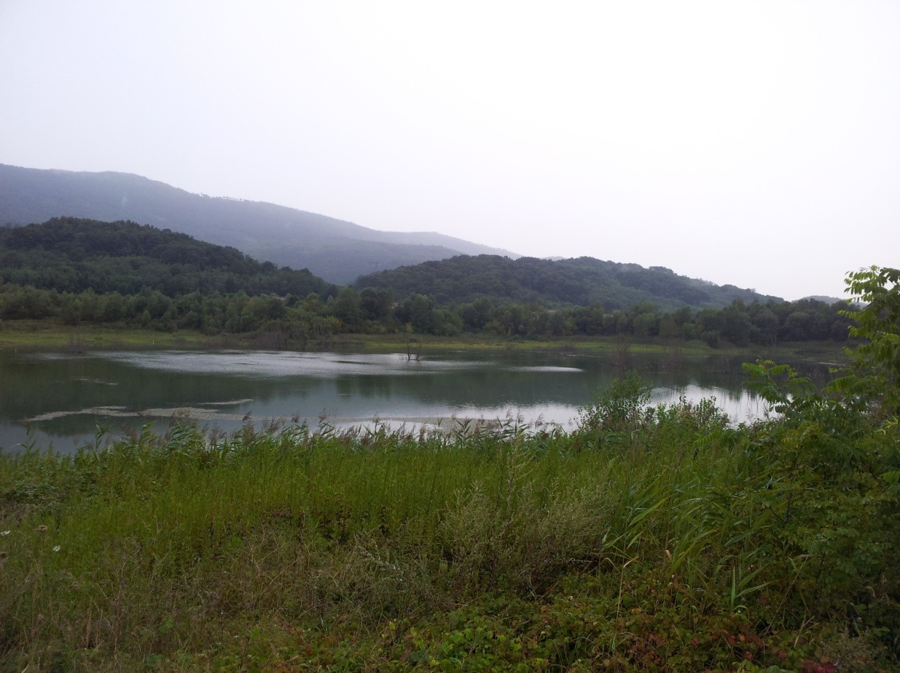 Rehabilitation of clay pit in Renče, Slovenia (Anja Potokar)