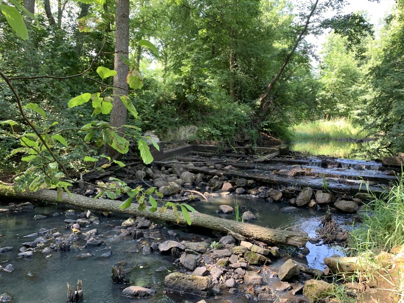 Old water threshold made from railway sleepers on river Kamienna, Poland (WULS)