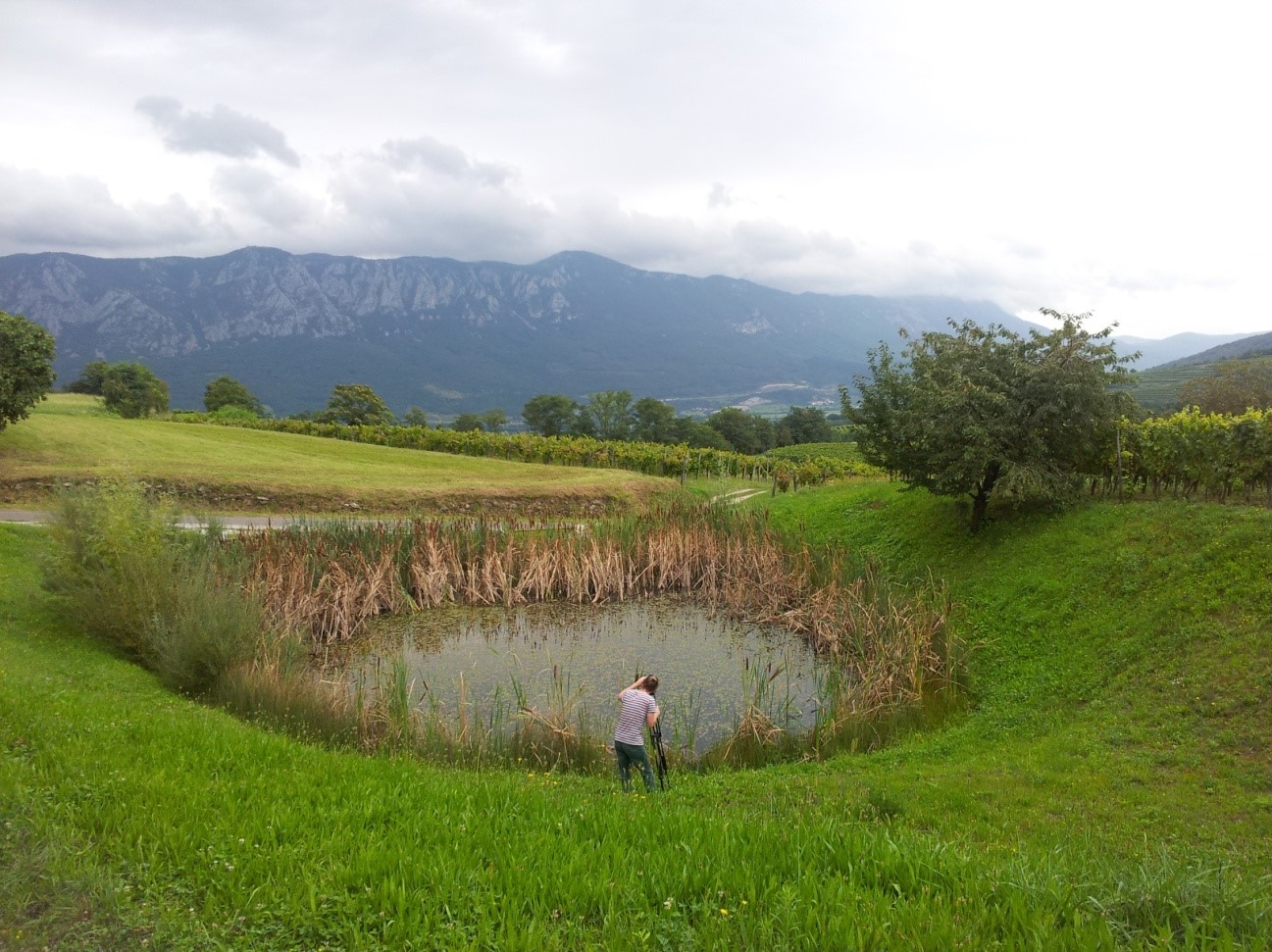 Karst pond in Goče, Slovenia (GWP CEE)