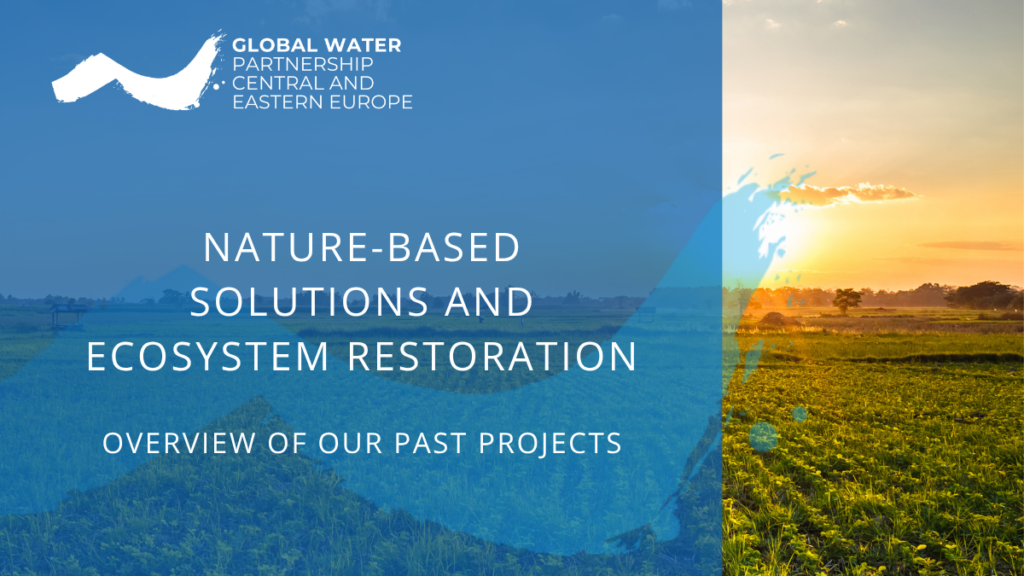 Completed Projects - Nature-based Solutions and ecosystem restoration