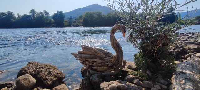 Lonely Swan Lonely Swan