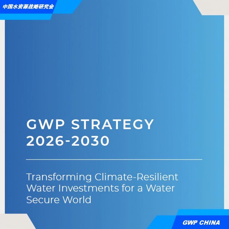 strategy 2026-2030封面 800-800