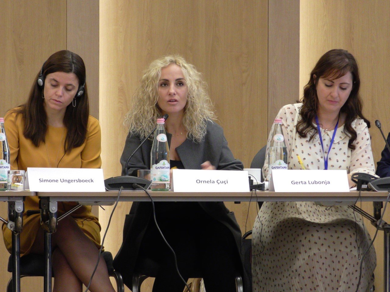 Opening Panel of Nexus Roundtable