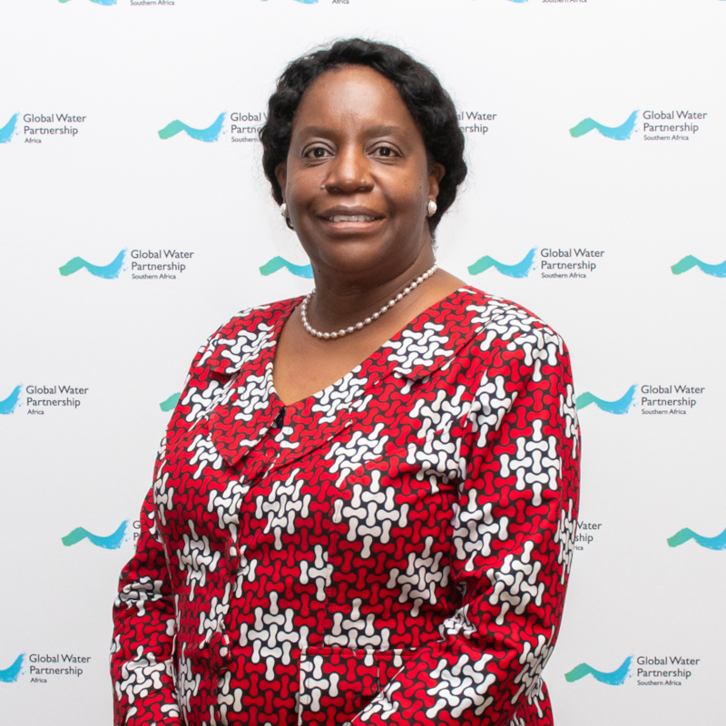 H.E. CHILESHE KAPWEPWE 800x800