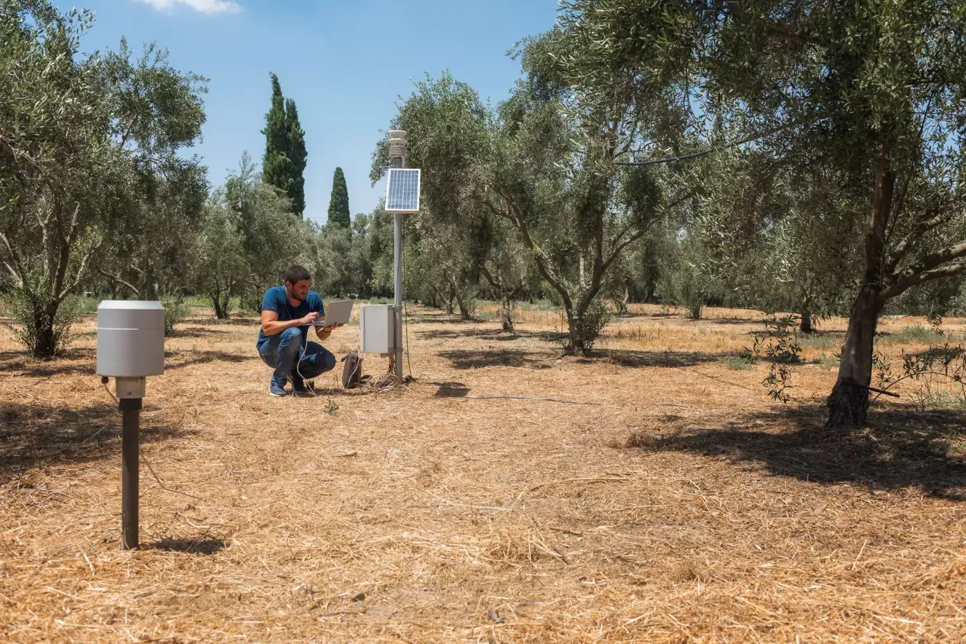 Smart Irrigation Cyprus