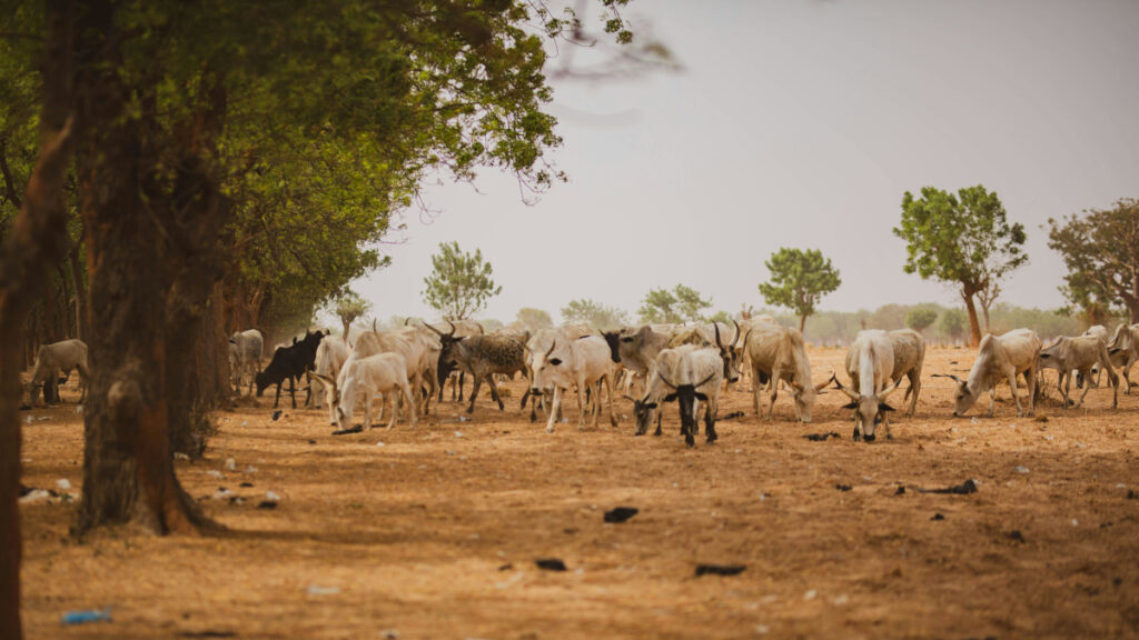 Flood and drought 1200x675